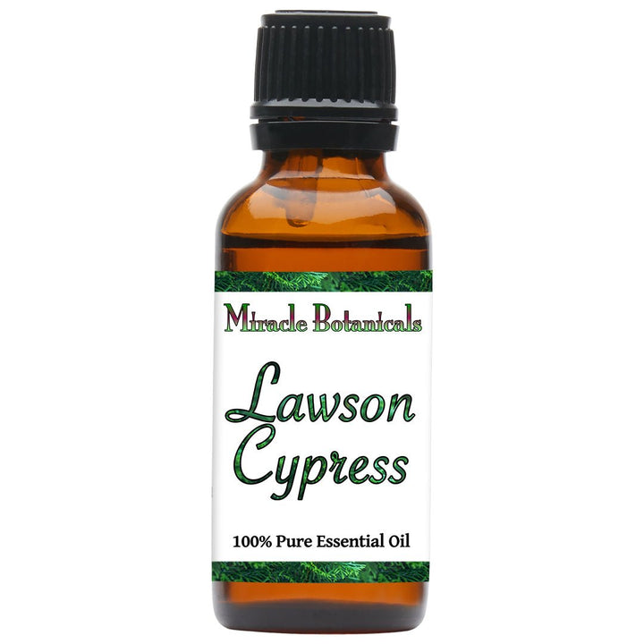 Cypress (Lawson) Essential Oil (Chamaecyparis Lawsoniana) - Miracle Botanicals Essential Oils
