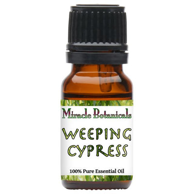 Cypress (Weeping) Essential Oil (Cupressus Funebris)