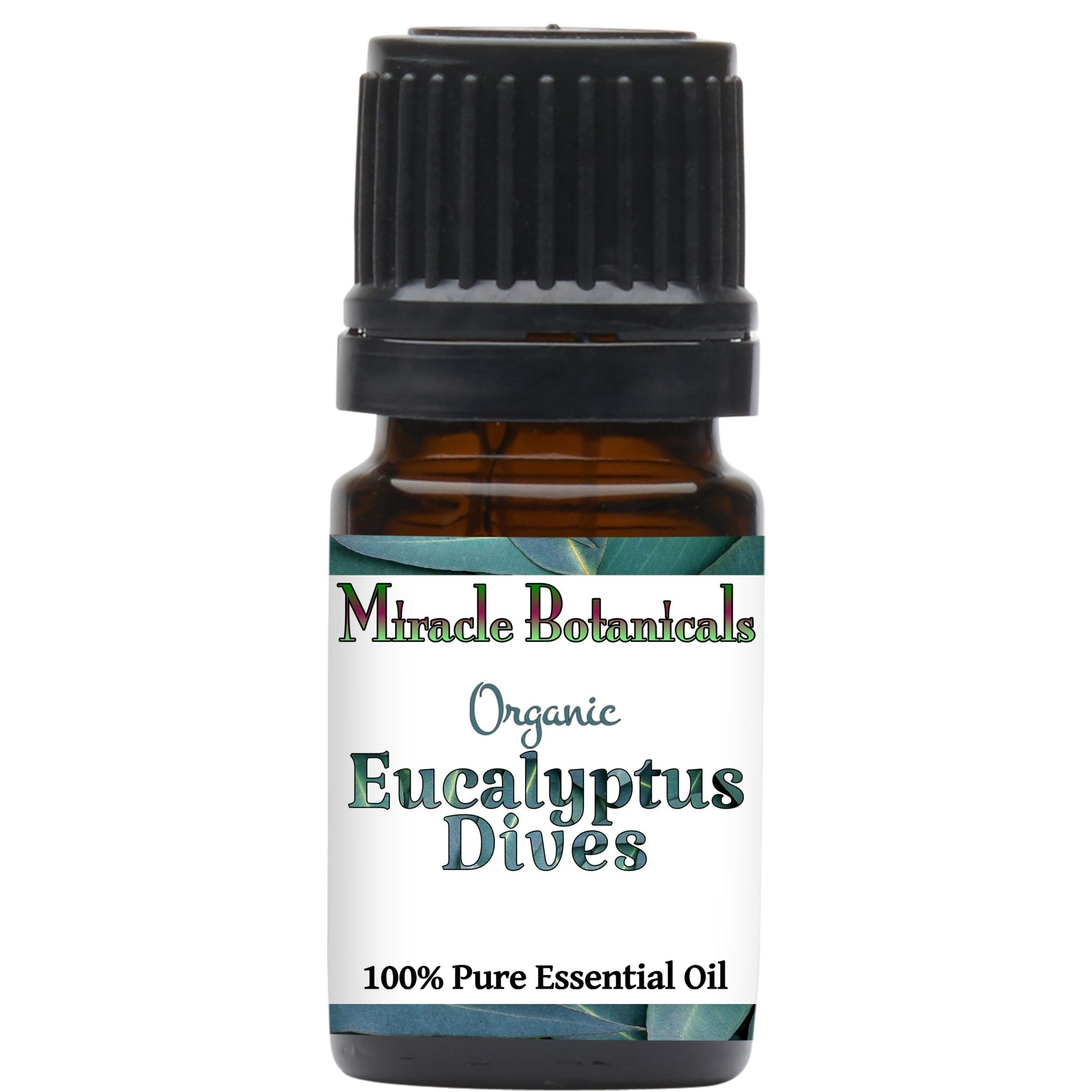 Eucalyptus Dives Essential Oil - Organic (Eucalyptus Dives) - Miracle Botanicals Essential Oils