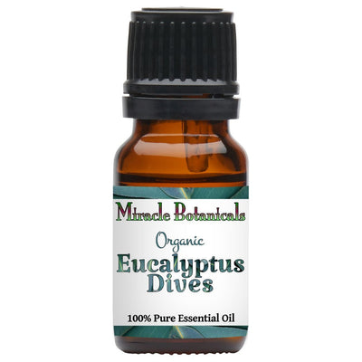Eucalyptus Dives Essential Oil - Organic (Eucalyptus Dives) - Miracle Botanicals Essential Oils