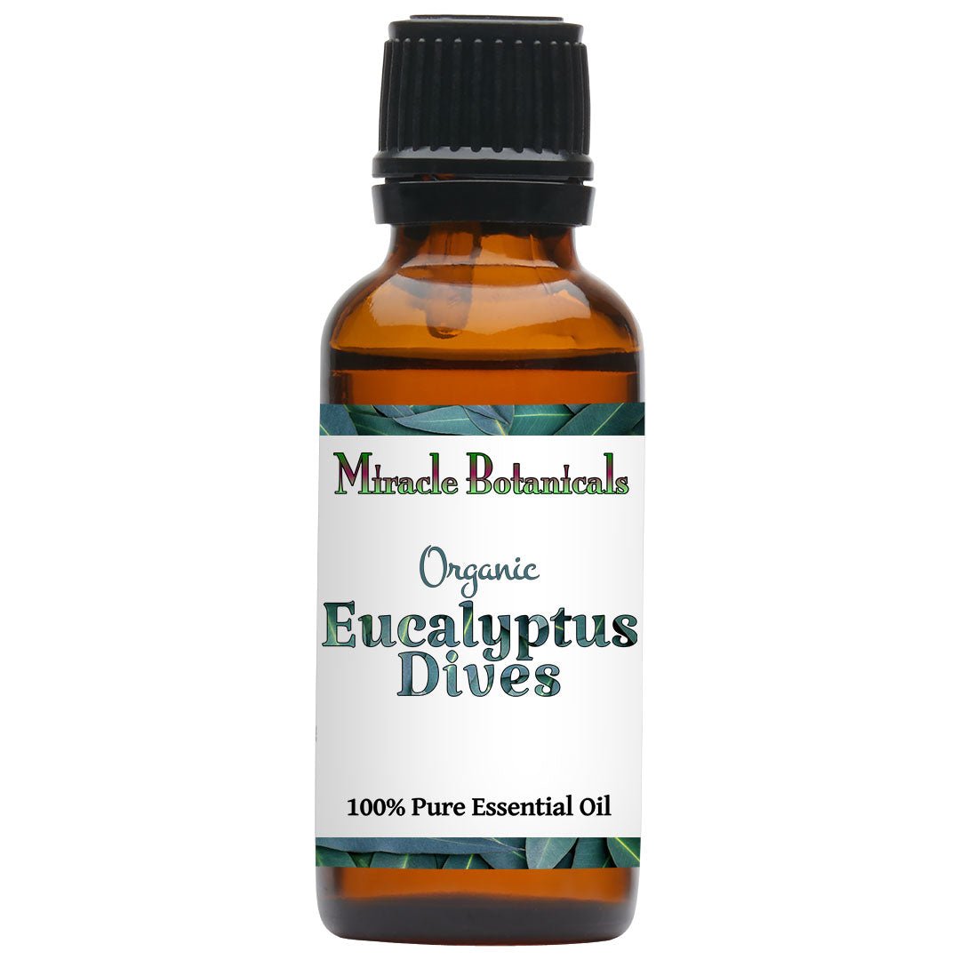 Eucalyptus Dives Essential Oil - Organic (Eucalyptus Dives) - Miracle Botanicals Essential Oils