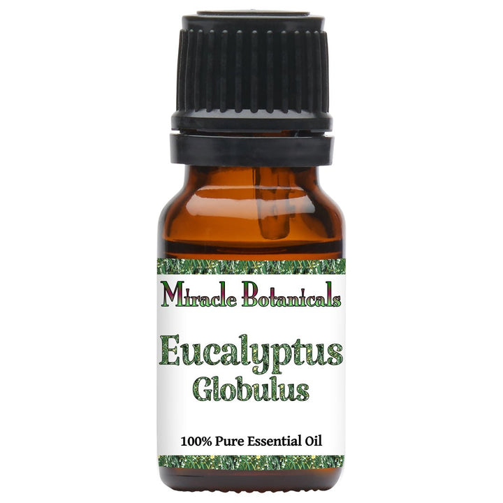 Eucalyptus Globulus Essential Oil (Eucalyptus Globulus)
