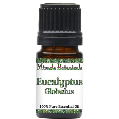 Eucalyptus Globulus Essential Oil (Eucalyptus Globulus) - Miracle Botanicals Essential Oils