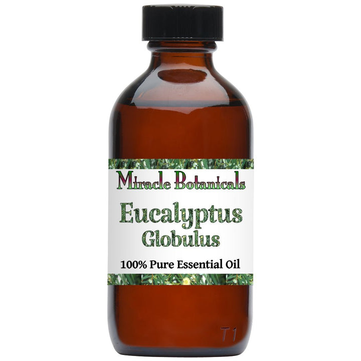 Eucalyptus Globulus Essential Oil (Eucalyptus Globulus) - Miracle Botanicals Essential Oils