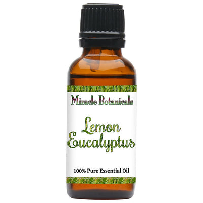 Eucalyptus Lemon Essential Oil (Eucalyptus Citriodora Hook) - Miracle Botanicals Essential Oils