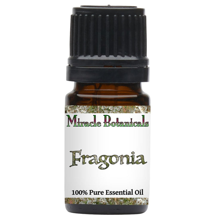 Fragonia Essential Oil (Taxandria Fragrans) - Miracle Botanicals Essential Oils