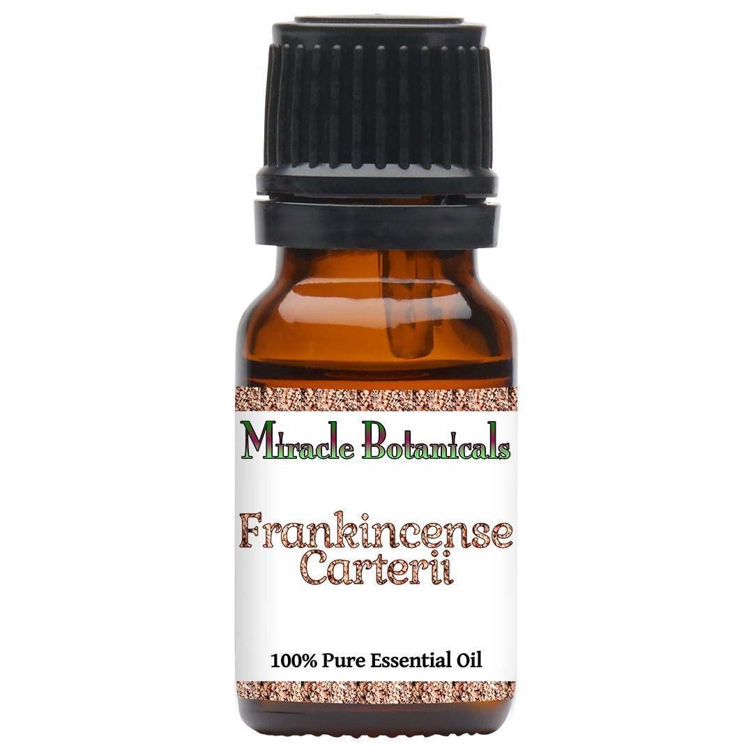 Frankincense Carterii Essential Oil (Boswellia Carterii) - Miracle Botanicals Essential Oils