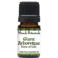 Giant Arborvitae Essential Oil (Thuja Plicata) - Miracle Botanicals Essential Oils