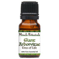 Giant Arborvitae Essential Oil (Thuja Plicata) - Miracle Botanicals Essential Oils