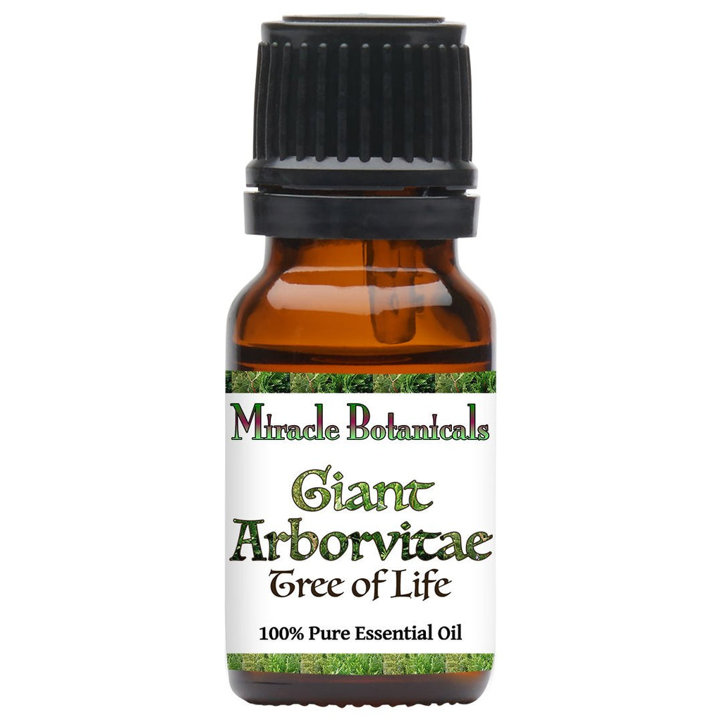 Giant Arborvitae Essential Oil (Thuja Plicata)