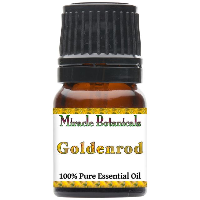 Goldenrod Essential Oil (Solidago Canadensis) - Miracle Botanicals Essential Oils