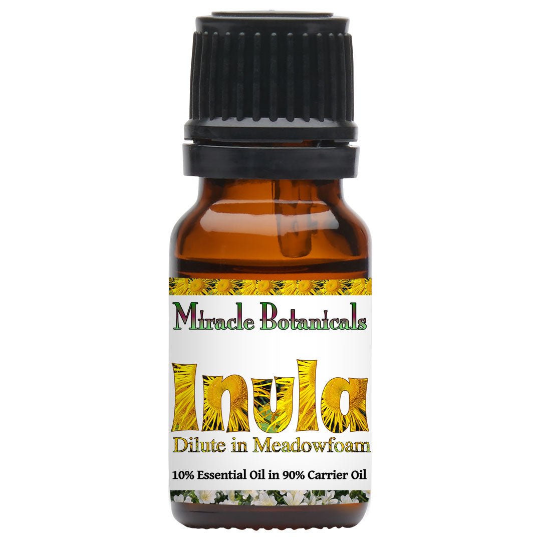 Inula Essential Oil - Fragrant Aster (Inula Graveolens) - Miracle Botanicals Essential Oils