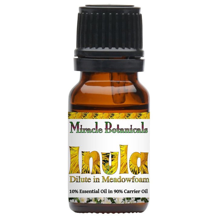 Inula Essential Oil - Fragrant Aster (Inula Graveolens)