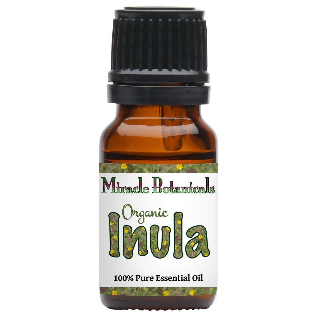 Inula Essential Oil - Organic - Fragrant Aster (Dittrichia graveolens (L.) Greuter (Syn : Inula graveolens Desf.) - Miracle Botanicals Essential Oils