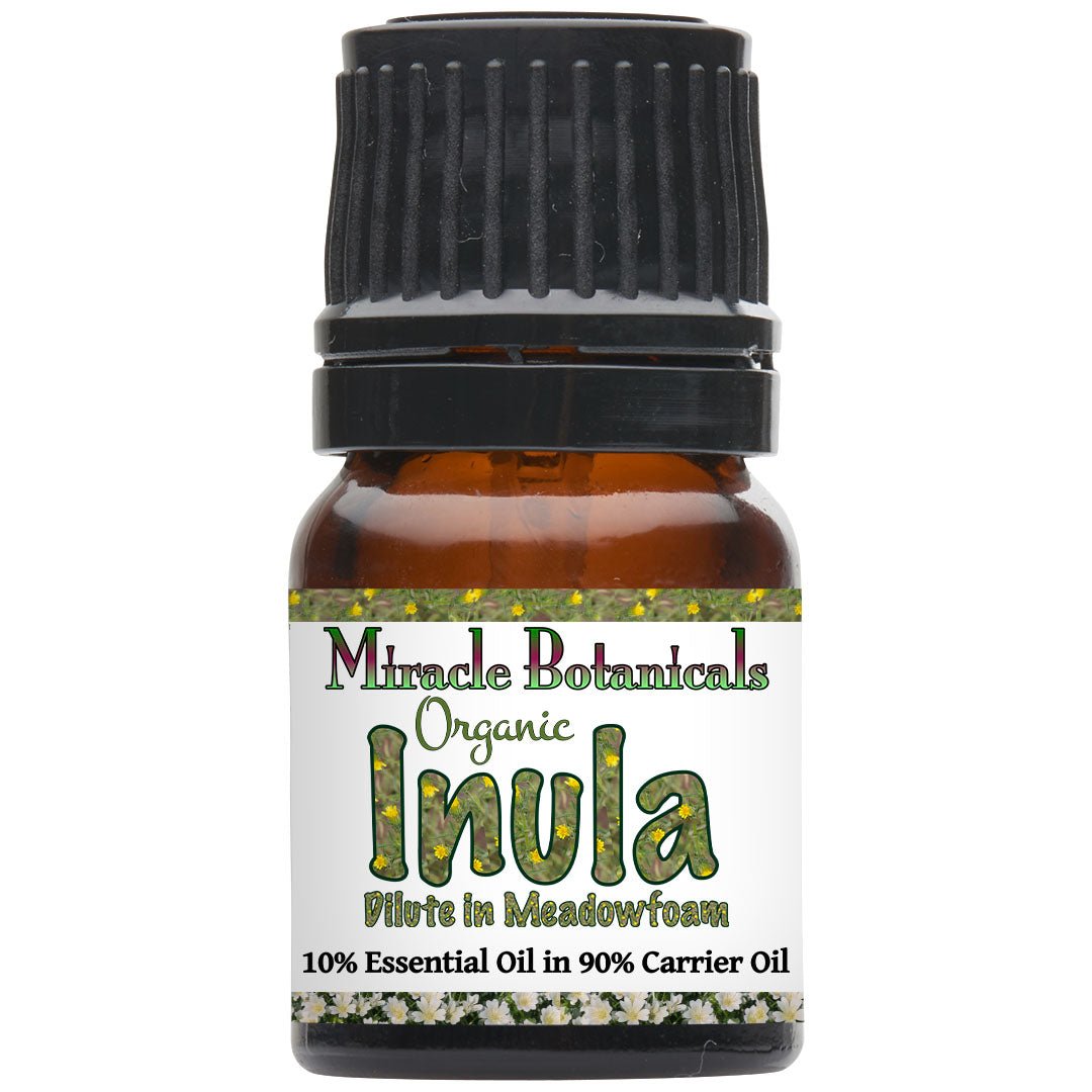 Inula Essential Oil - Organic - Fragrant Aster (Dittrichia graveolens (L.) Greuter (Syn : Inula graveolens Desf.) - Miracle Botanicals Essential Oils
