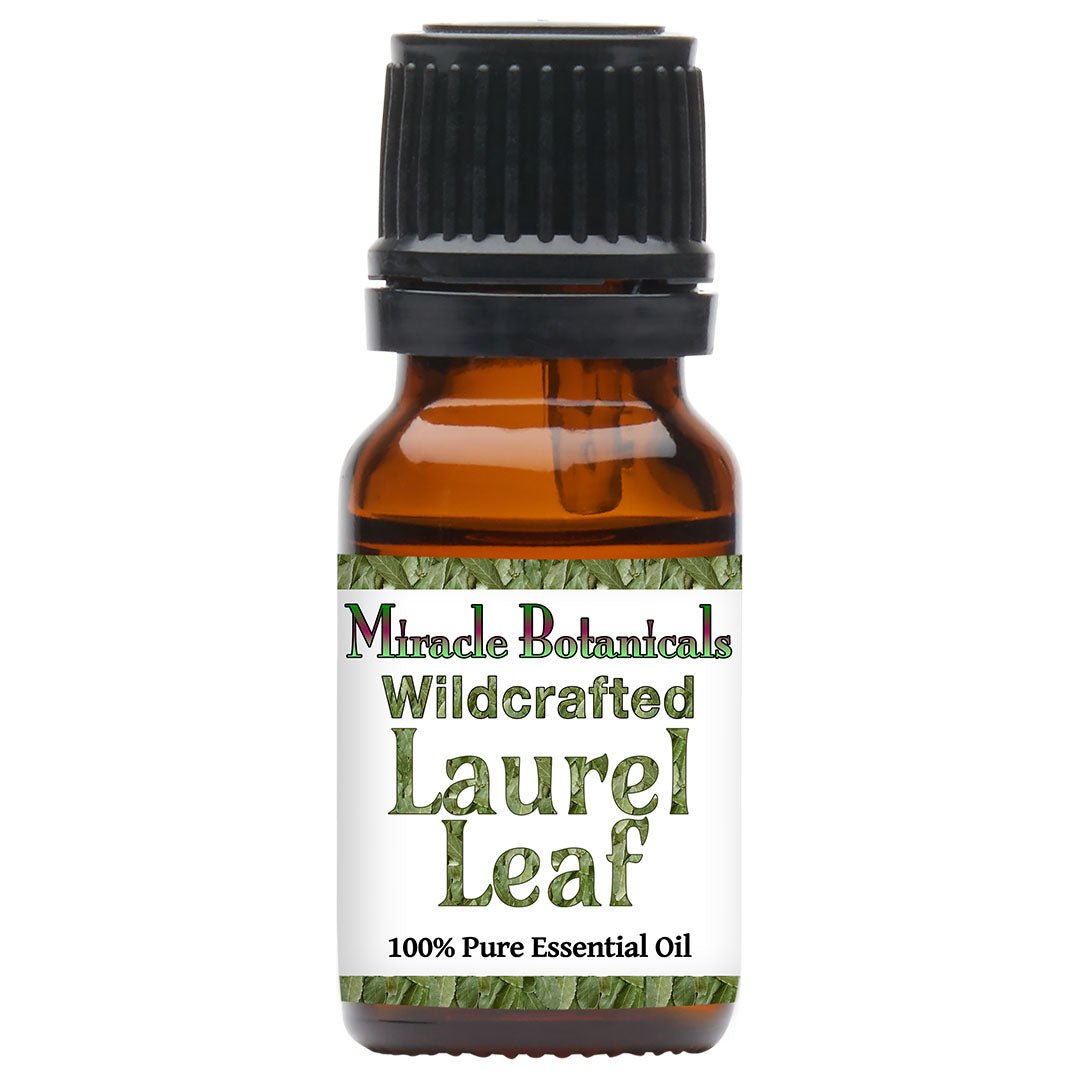 Laurel Leaf Essential Oil - Wildcrafted (Laurus Nobilis) - Miracle Botanicals Essential Oils