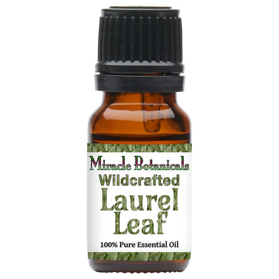 Laurel Leaf Essential Oil - Wildcrafted (Laurus Nobilis) - Miracle Botanicals Essential Oils