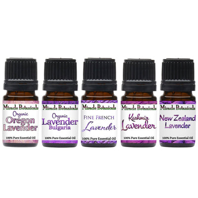 Lavender Essential Oil Set - Premium - Set of 5 Lavender Species - Miracle Botanicals Essential Oils