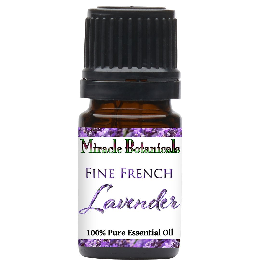 lavender oil plants Lavender (Fine French