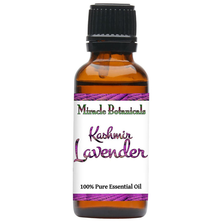 Lavender (Kashmir) Essential Oil (Lavandula Angustifolia) - Miracle Botanicals Essential Oils