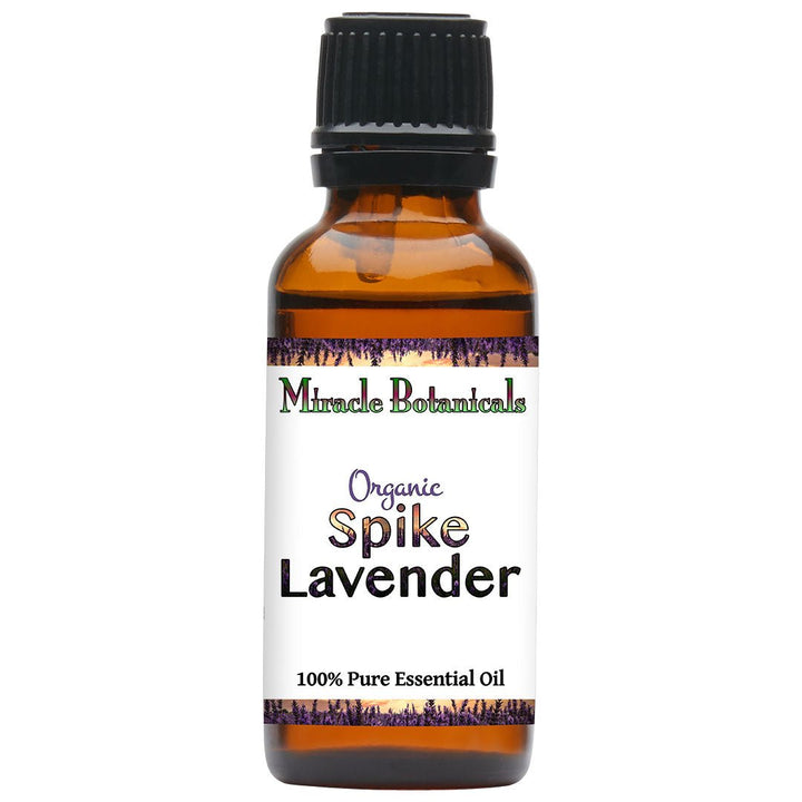 Lavender (Spike) Essential Oil - Organic (Lavandula Latifolia Medikus) - Miracle Botanicals Essential Oils