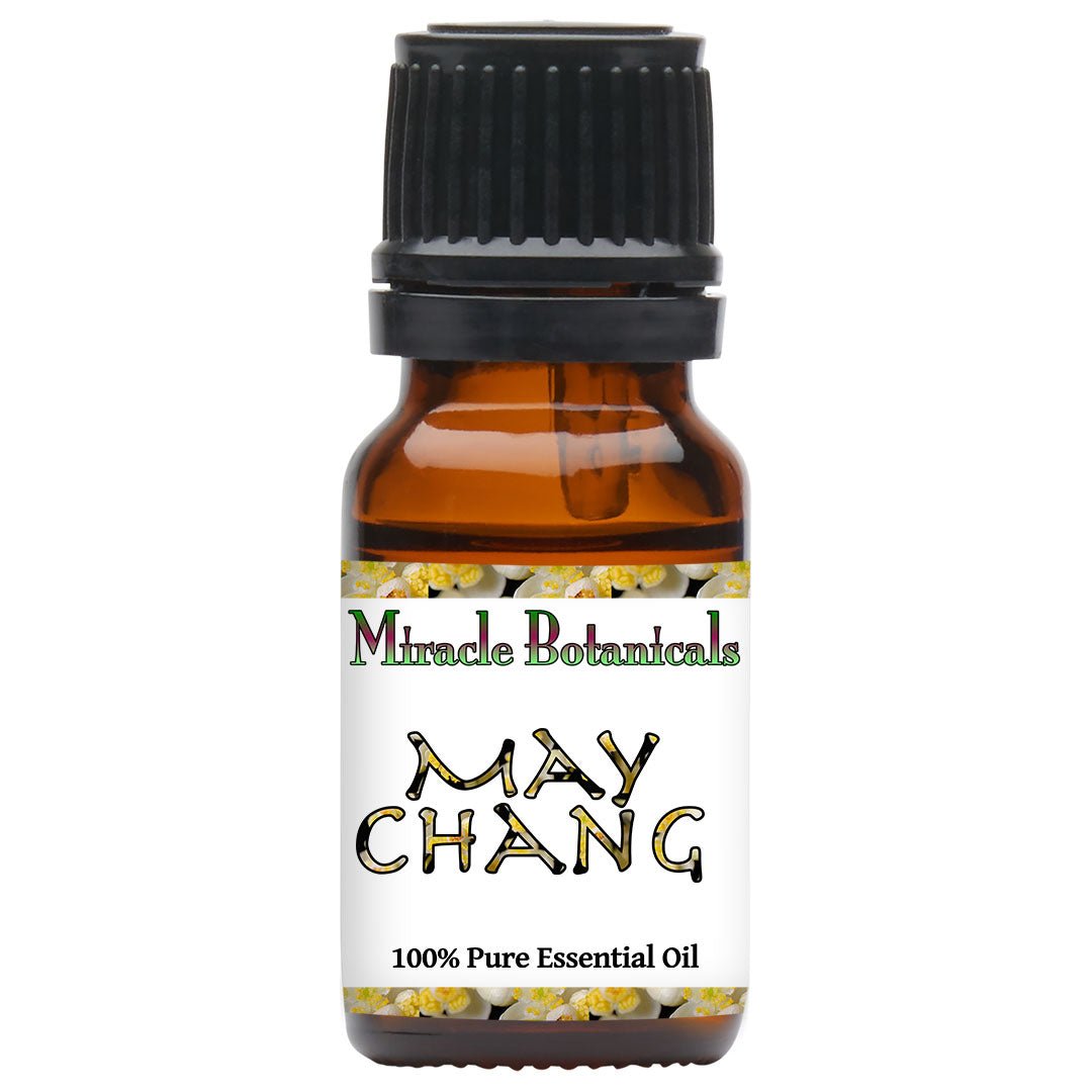 May Chang Essential Oil (Litsea Cubeba) - Miracle Botanicals Essential Oils