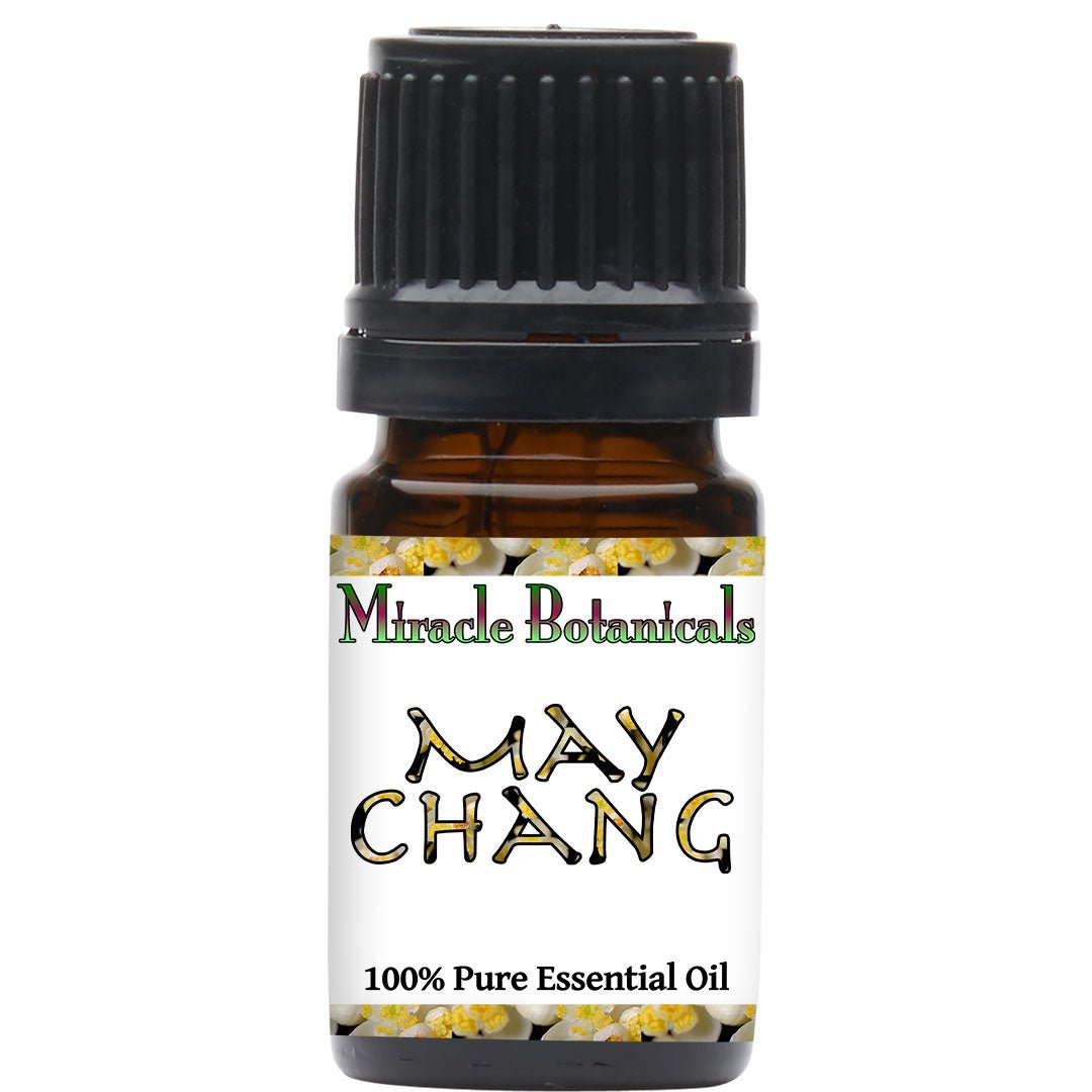 May Chang Essential Oil (Litsea Cubeba) - Miracle Botanicals Essential Oils