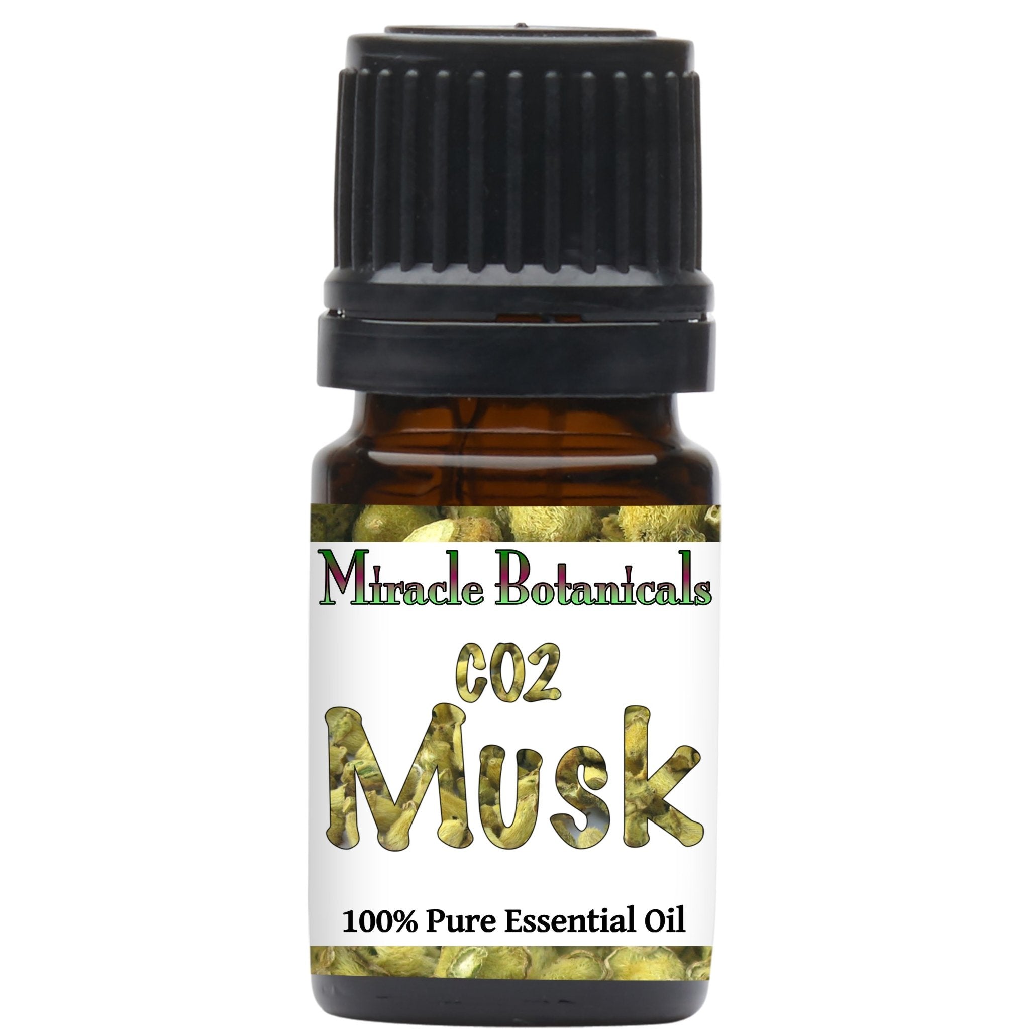 Musk Essential Oil (Ambrette Seed) - Co2 Extracted (Hibiscus Abelmosch