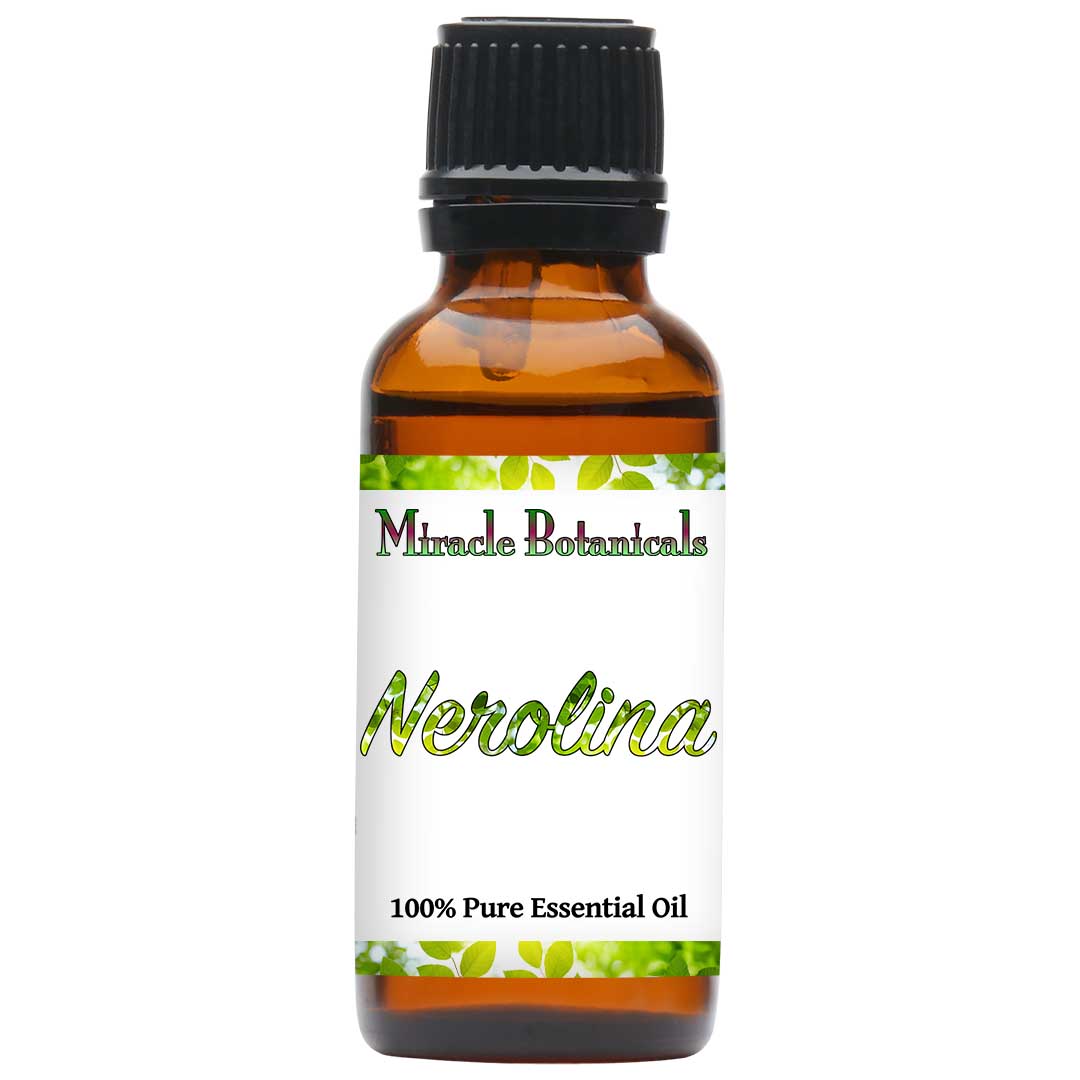 Niaouli Essential Oil - Type Nerolina - Wildcrafted (Melaleuca Quinquenervia) - Miracle Botanicals Essential Oils