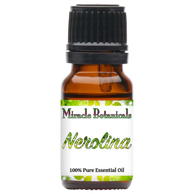 Nerolina Essential Oil - Wildcrafted (Melaleuca Quinquenervia)