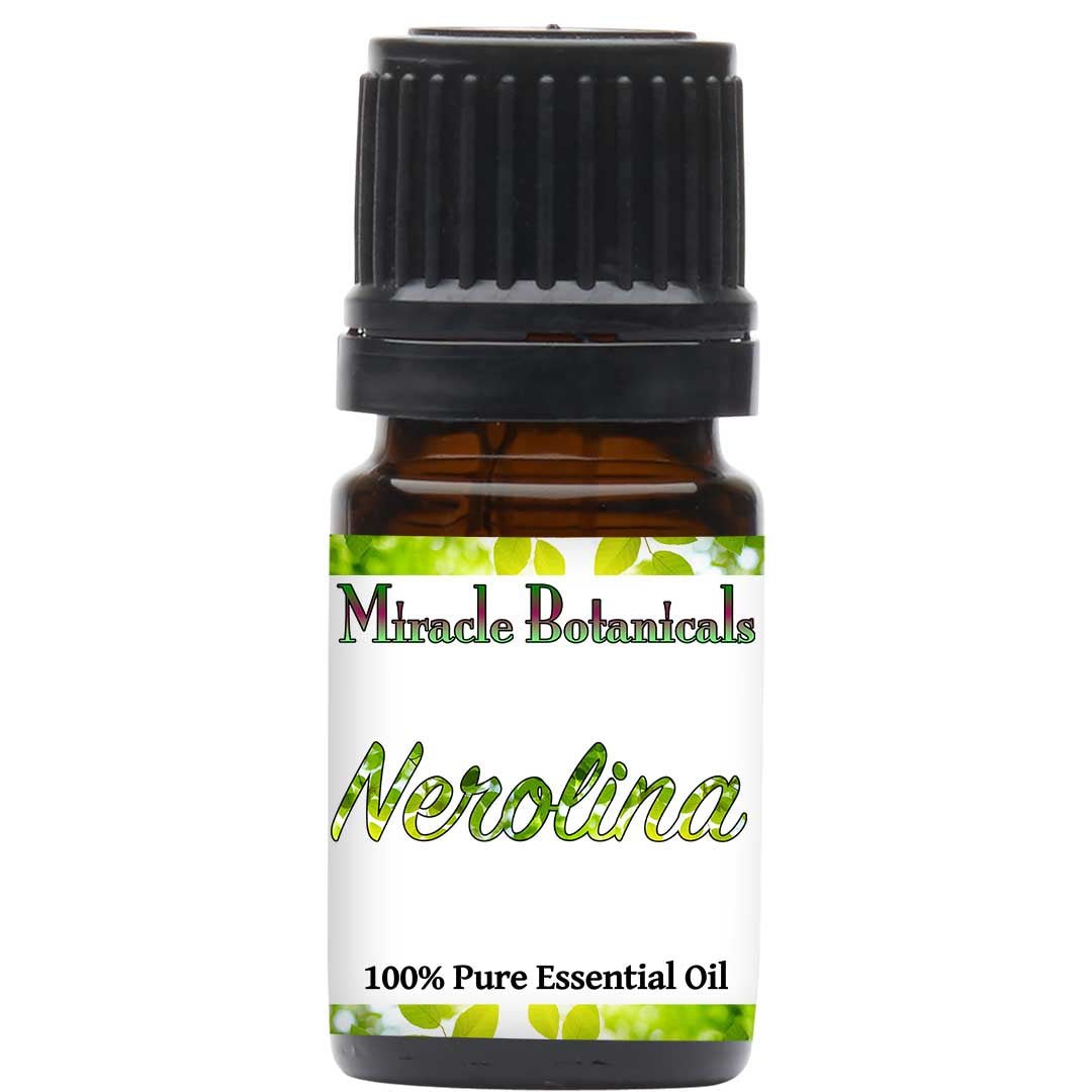 Niaouli Essential Oil - Type Nerolina - Wildcrafted (Melaleuca Quinquenervia) - Miracle Botanicals Essential Oils