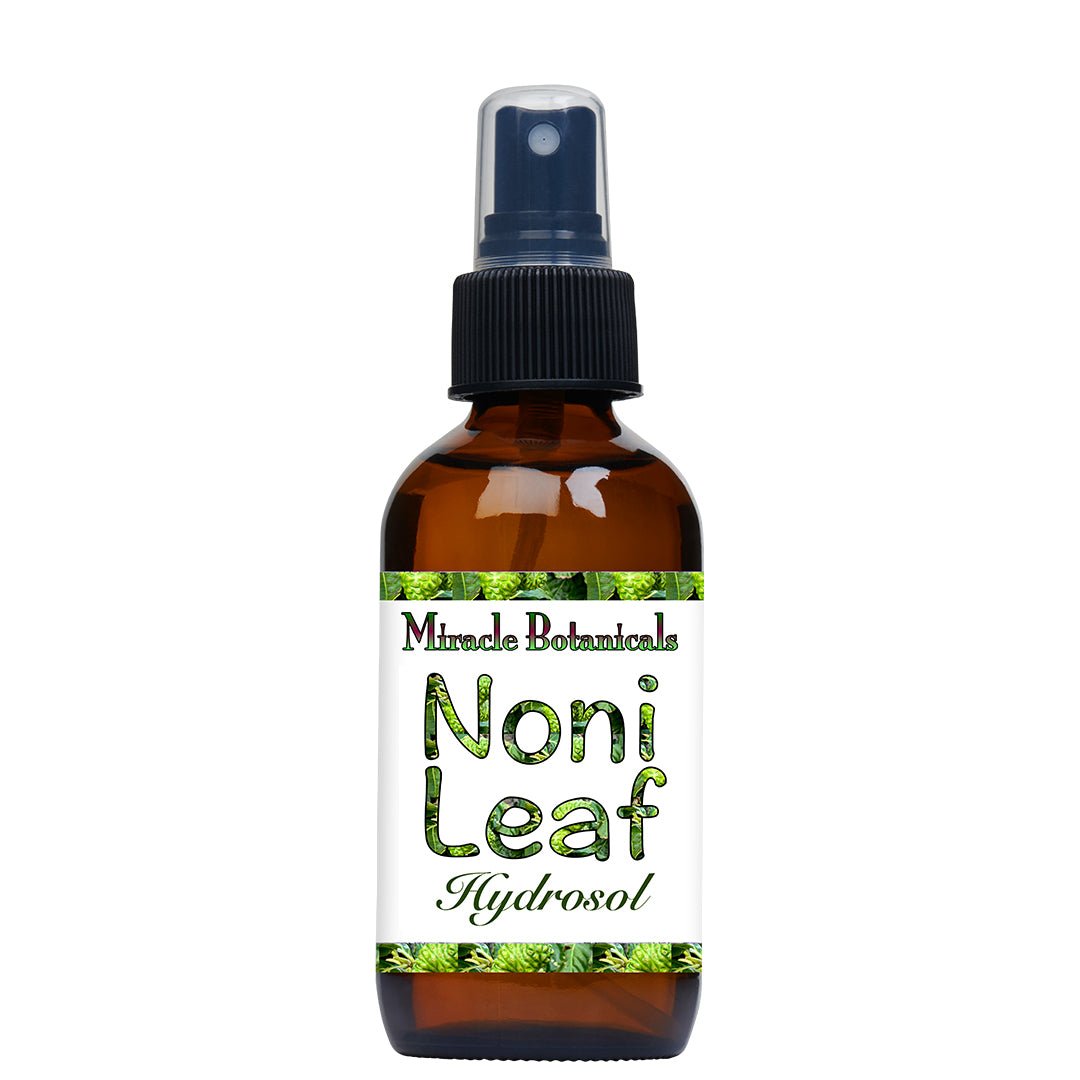 Noni Leaf (Hawaiian) Hydrosol - Wildcrafted (Morinda Citrifolia) - Miracle Botanicals Essential Oils