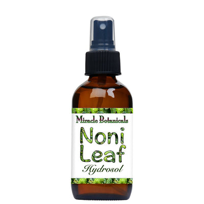 Noni Leaf (Hawaiian) Hydrosol - Wildcrafted (Morinda Citrifolia)