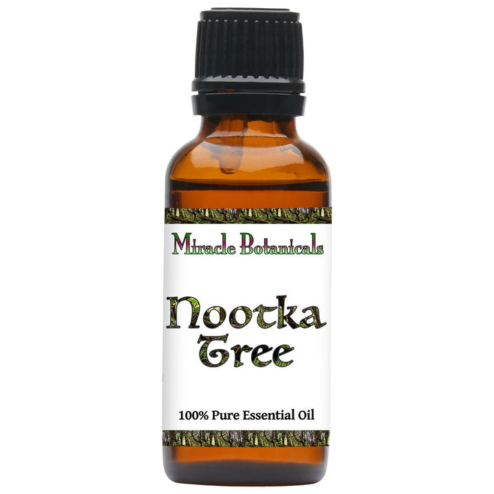 Nootka Tree Essential Oil (Cupressus Nootkatensis) - Miracle Botanicals Essential Oils