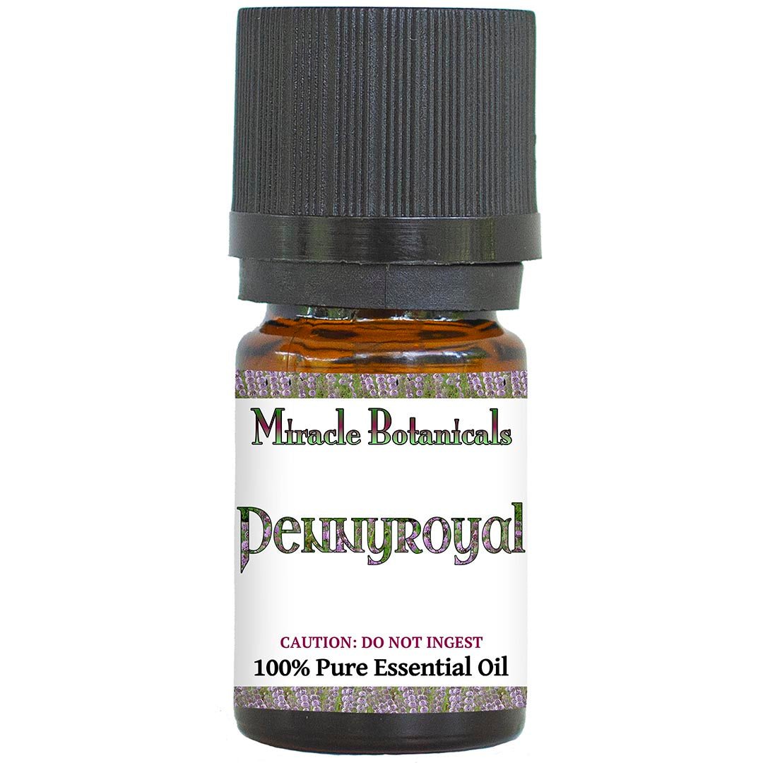 Pennyroyal Essential Oil - Wildcrafted (Mentha Pulegium) - Miracle Botanicals Essential Oils