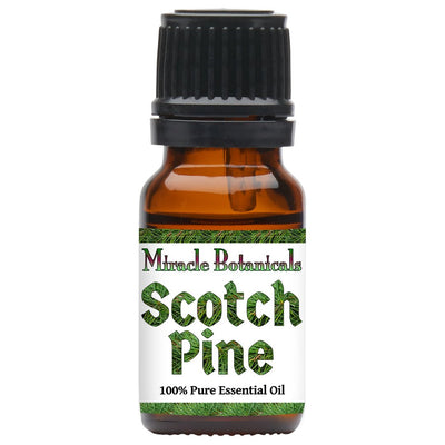 Pine (Scotch) Essential Oil (Pinus Sylvestris)