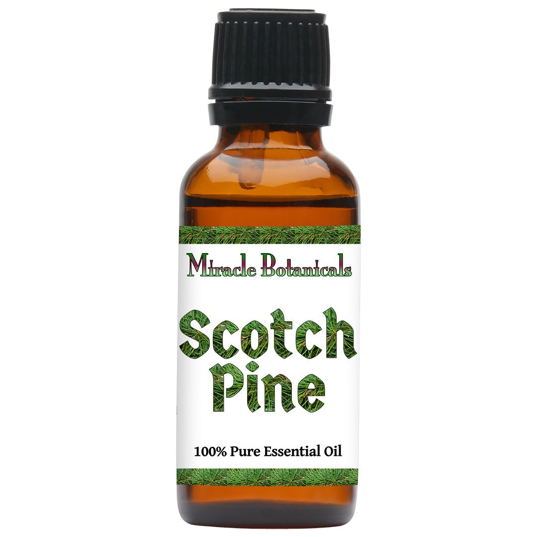 Pine (Scotch) Essential Oil (Pinus Sylvestris) - Miracle Botanicals Essential Oils