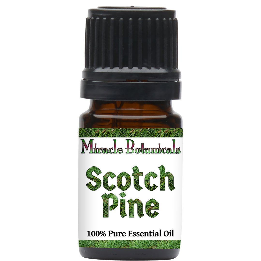 Pine (Scotch) Essential Oil (Pinus Sylvestris) - Miracle Botanicals Essential Oils