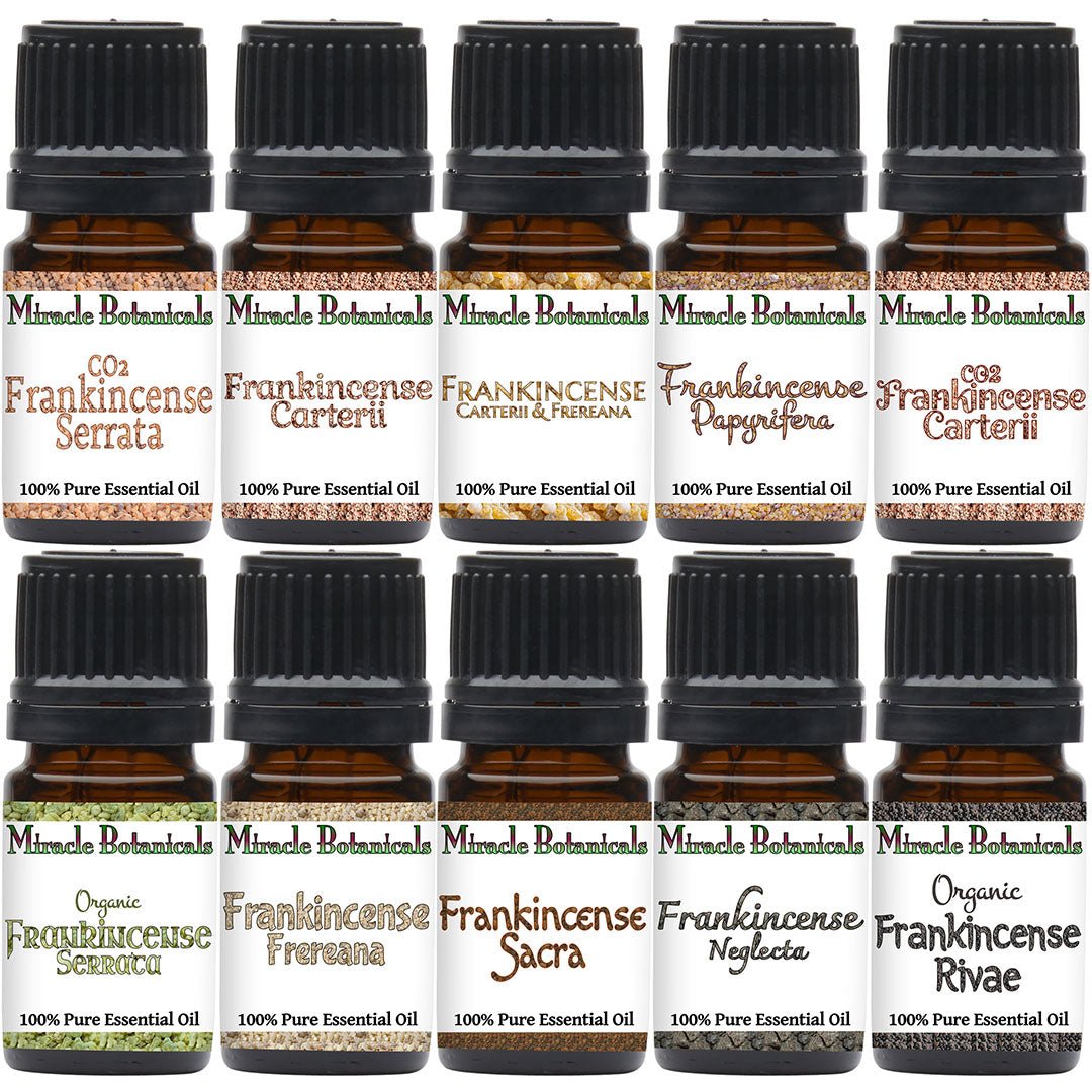 Premium Frankincense Essential Oil Sampler Set - 10 Different Varieties of Frankincense - Miracle Botanicals Essential Oils