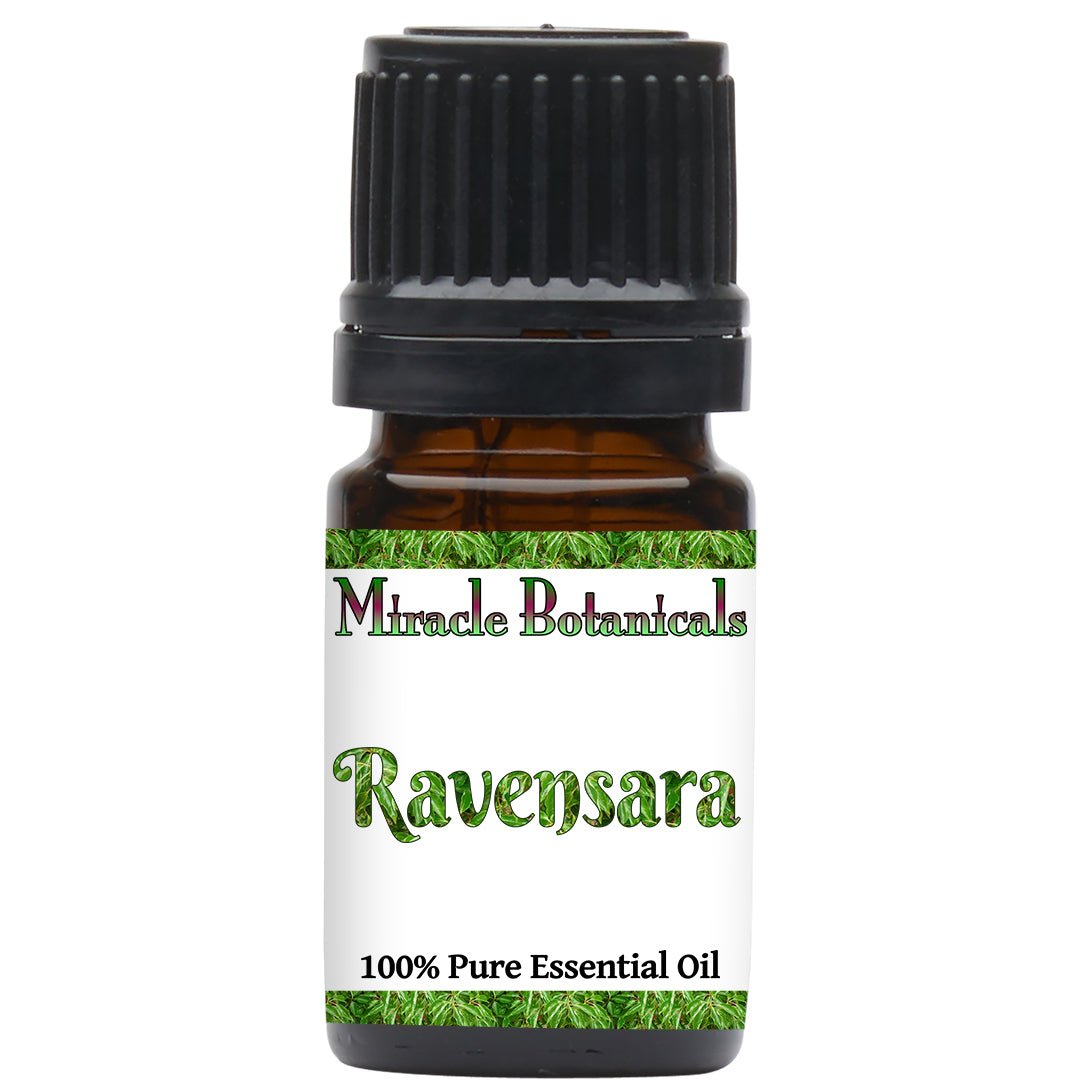 Ravensara Ravensara Essential Oil (Ravensara Aromatica) | Miracle Botanicals ...