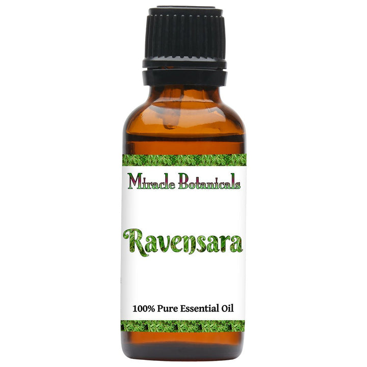 Ravensara Essential Oil (Ravensara Aromatica) - Miracle Botanicals Essential Oils