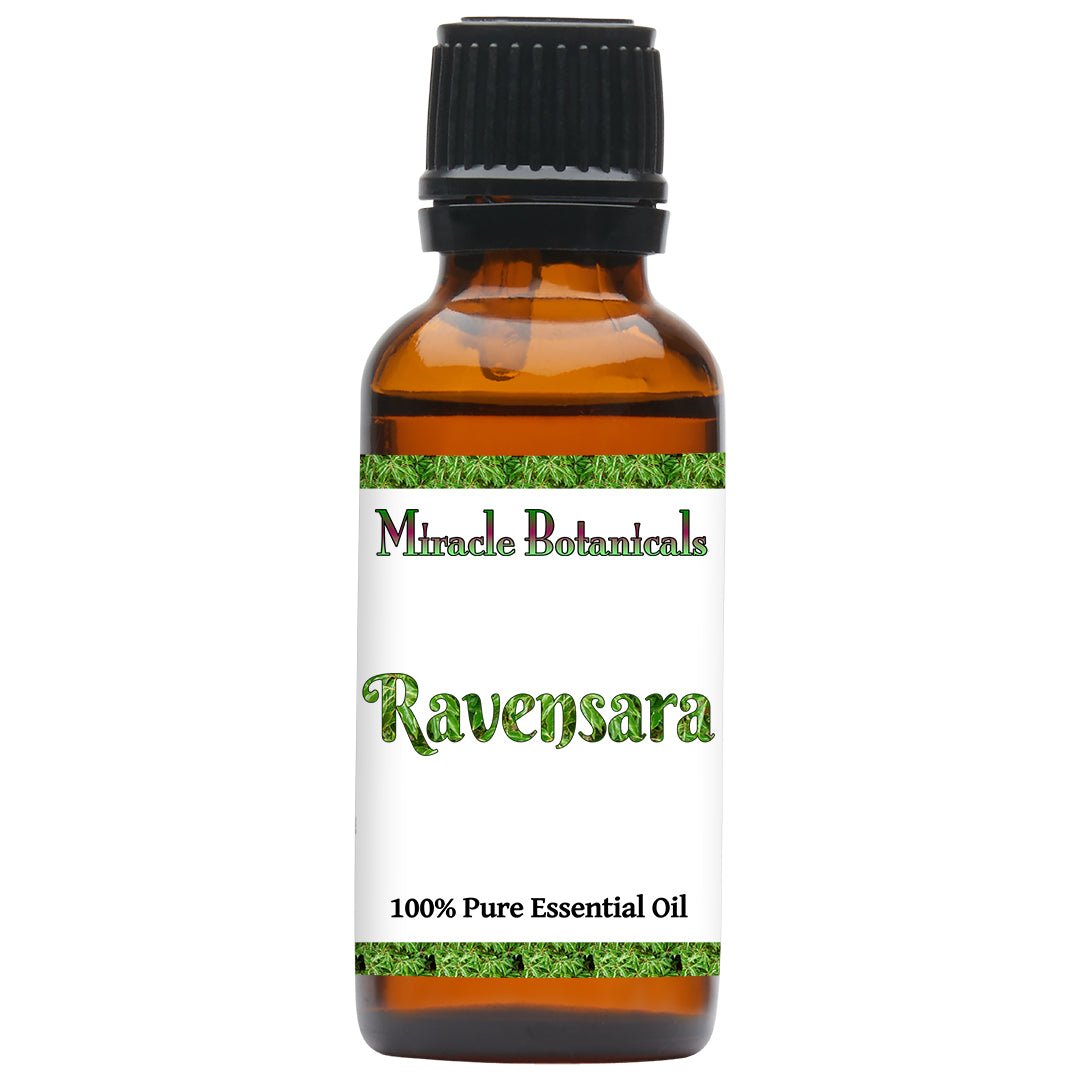 Ravensara Ravensara Essential Oil (Ravensara Aromatica) | Miracle Botanicals ...
