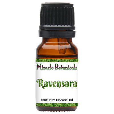 Ravensara Essential Oil (Ravensara Aromatica)