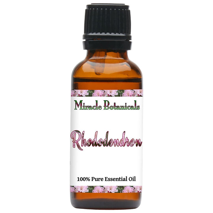 Rhododendron Essential Oil (Rhododendron anthopogon) - Miracle Botanicals Essential Oils