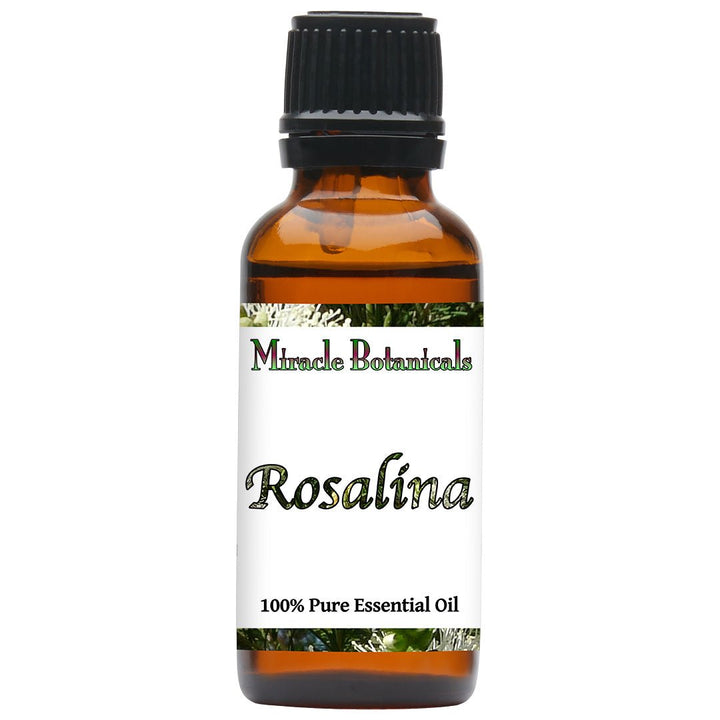 Rosalina Essential Oil (Melaleuca ericafolia, fam. Myrtaceae) - Miracle Botanicals Essential Oils