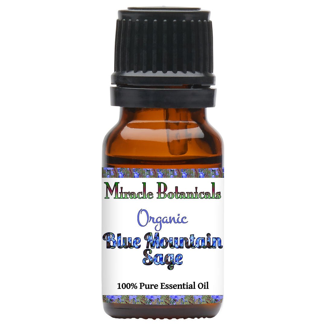 Sage (Blue Mountain) Essential Oil - Organic (Salvia Chamelaeagnea) - Miracle Botanicals Essential Oils