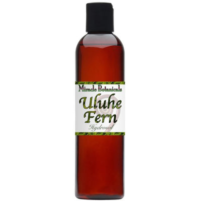 Uluhe Fern Hydrosol - Wildcrafted (Dicranopteris Linearis) - Miracle Botanicals Essential Oils