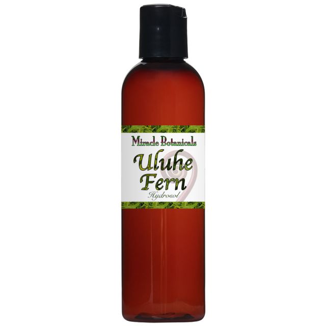 Uluhe Fern Hydrosol - Wildcrafted (Dicranopteris Linearis) - Miracle Botanicals Essential Oils