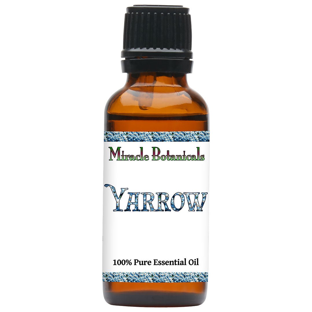 Yarrow Essential Oil (Achillea Millefolium) - Miracle Botanicals Essential Oils